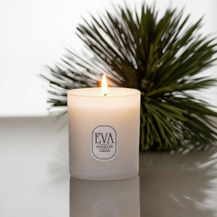 Christmas tree candles 